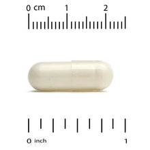 Single pale beige veggie capsule next to an inch and cm ruler
