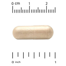 Beige two-piece veggie capsule with size measurement markers