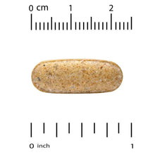 Single multivitamin tablet shown next to a metric ruler for size