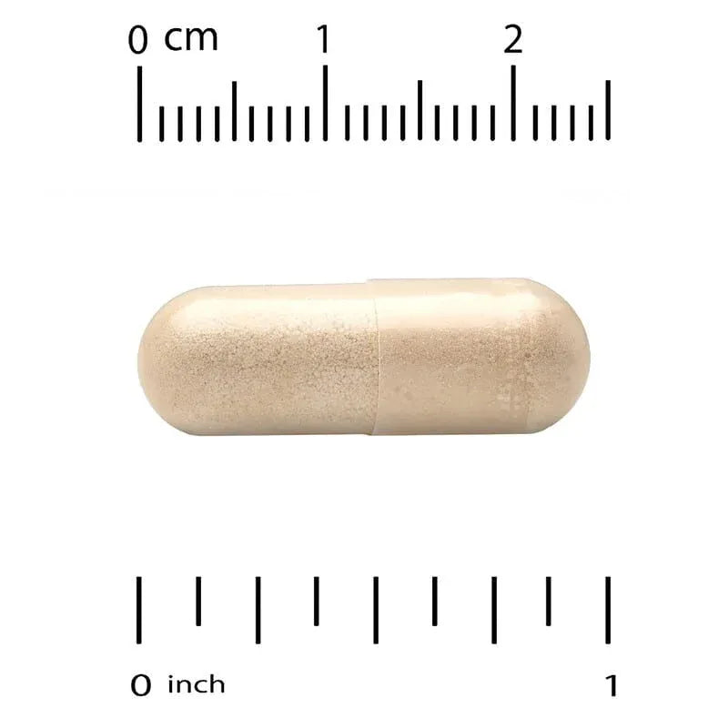 Super Nutrition, Turmeric Joint Complex with Devil's Claw Extract, Boswellia Extract, White Willow Extract, and Ginger Extract, 180 Veggie Capsules - USA MEGA SHOP