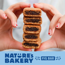 Hands holding stacked blueberry fig bars
