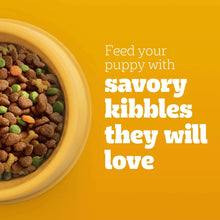 Bowl filled with dry kibble pieces for puppies, with brown and green bits