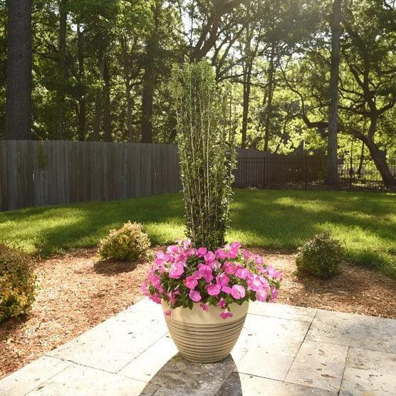 1 Gal. Home Garden Collection, 8-pack