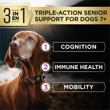 Dog and 3-in-1 senior support graphic: cognition, immune health, mobility