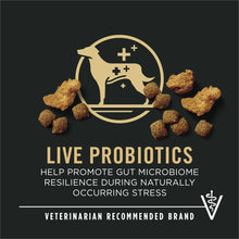 Dog food nutrition graphic with live probiotics badge and scattered kibble