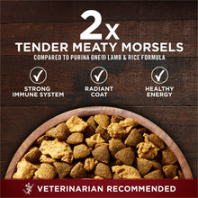 Veterinarian recommended dry dog food kibble morsels in a wooden bowl