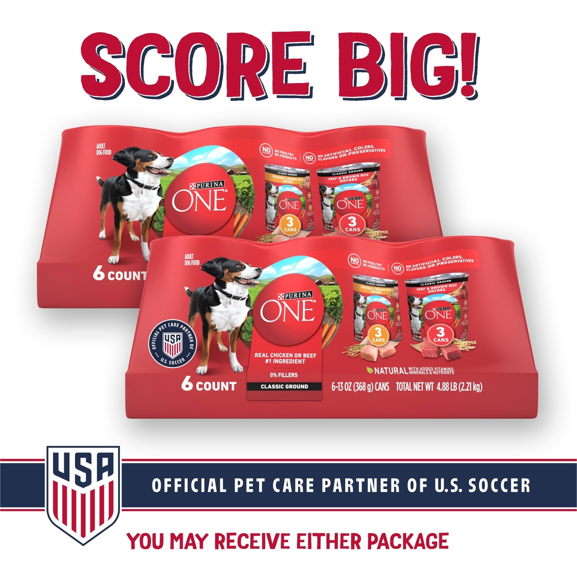 Purina ONE Natural Wet Dog Food, High Protein Soft Variety Pack, 13 oz Cans ()