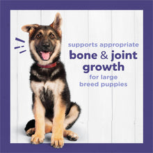 Large breed puppy formula dog food bag panel with German shepherd puppy