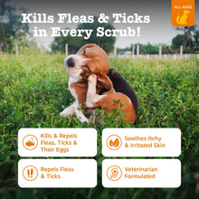 Dog with flea and tick shampoo benefits graphic
