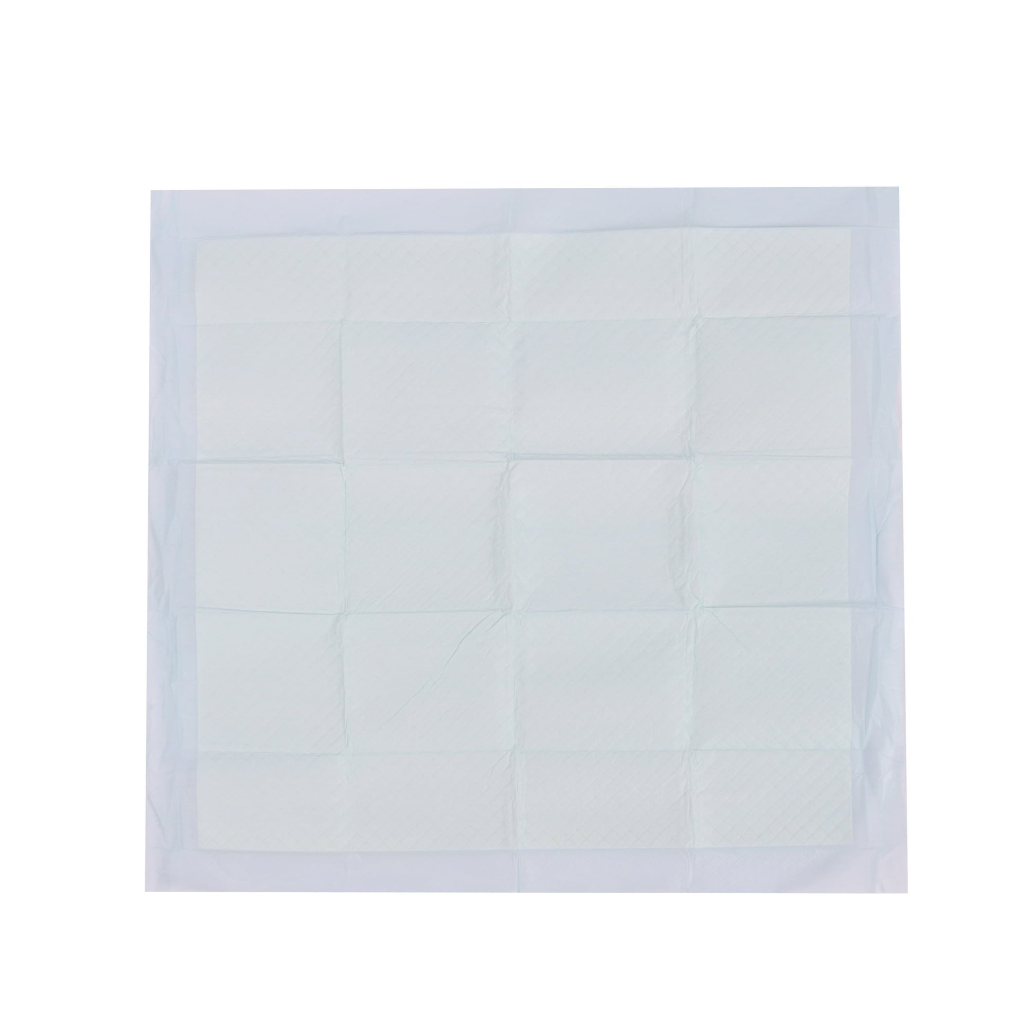 Vibrant Life Large 5-Layer Pet Training Pads, 22” x 22”, 50 Count