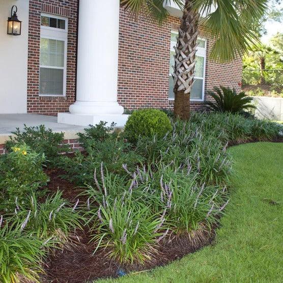 1 Gal. Home Garden Collection, 8-pack