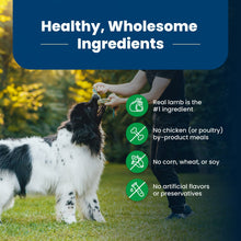 Bernese mountain dog with ingredient icons for Blue Buffalo dry dog food