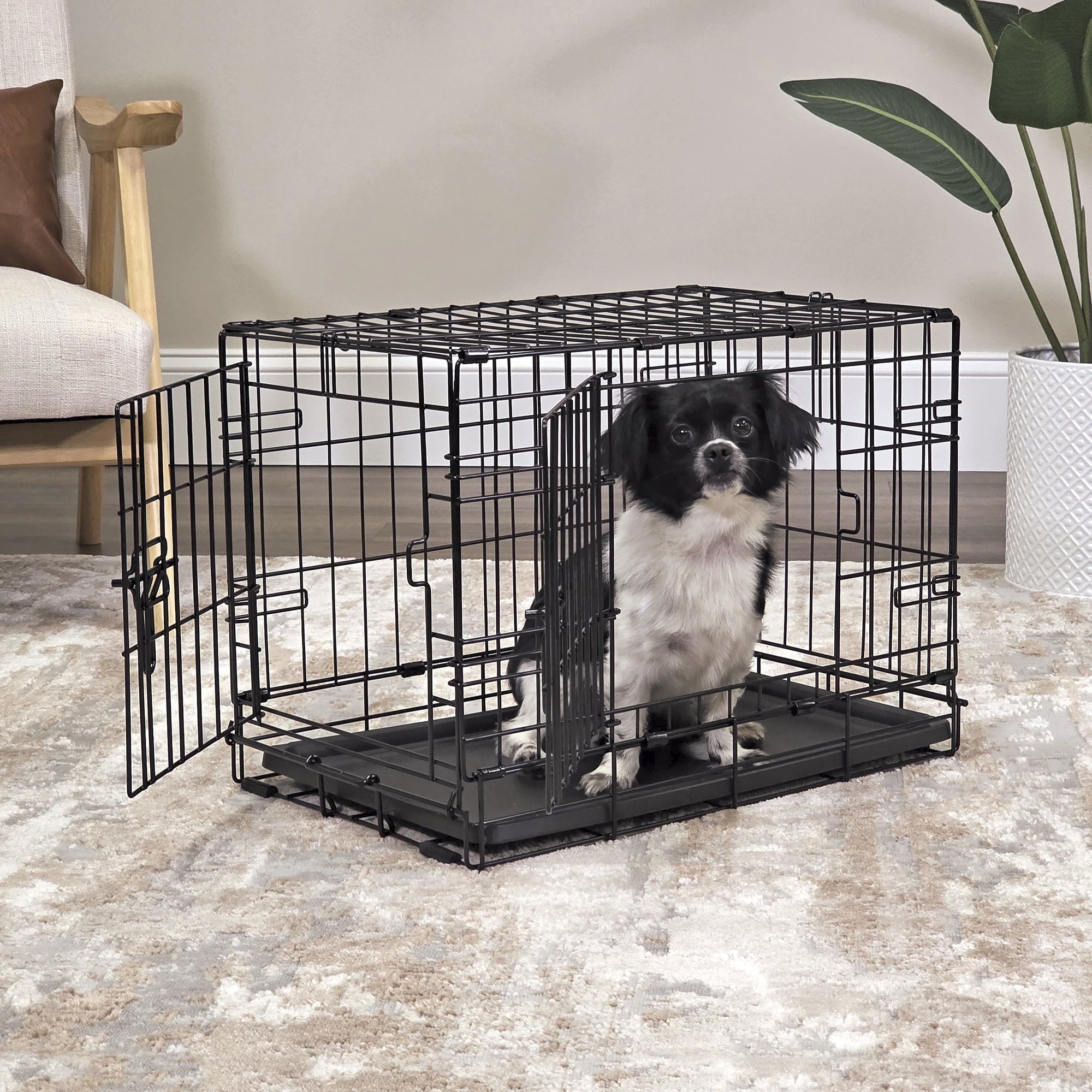 Vibrant Life Foldable 22" Wire Crate for Dogs with Divider and Leak-Proof Tray