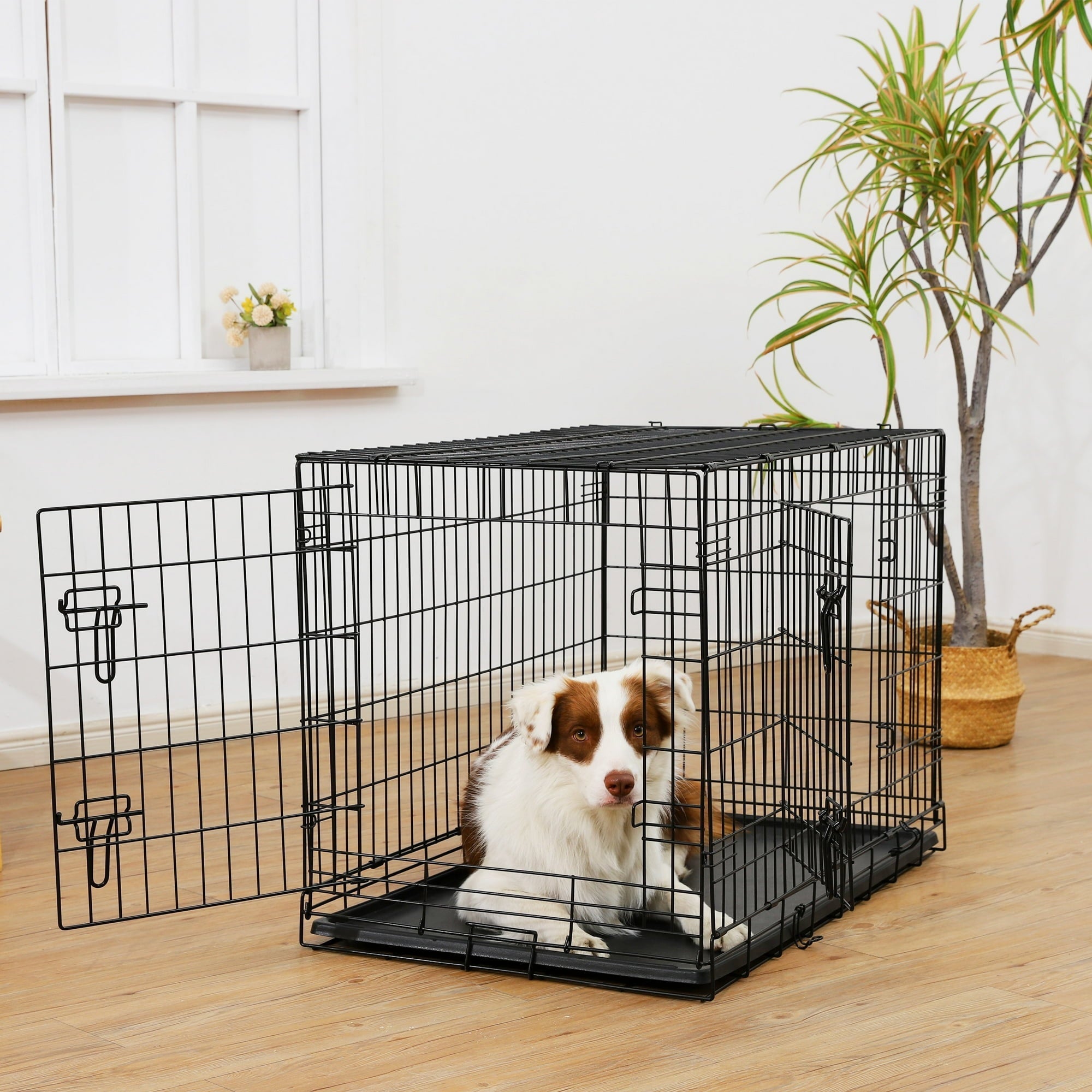 Vibrant Life Foldable 22" Wire Crate for Dogs with Divider and Leak-Proof Tray