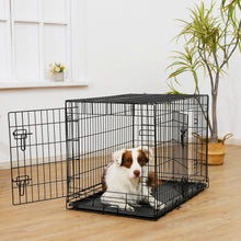 Wire dog crate with divider and gray tray, with a small dog resting inside