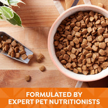Dog food kibble in pink bowl with metal scoop and kibble pieces on wood