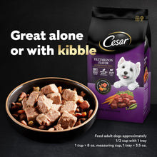 Cesar wet dog food pouch with fillet mignon flavor and bowl of cut filets