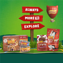 Friskies dry cat food multipack with gravy swirls, chicken and salmon bags