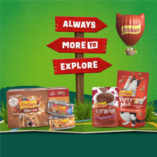 Friskies Gravy Swirlers dry cat food assortment with chicken and salmon gravy flavors