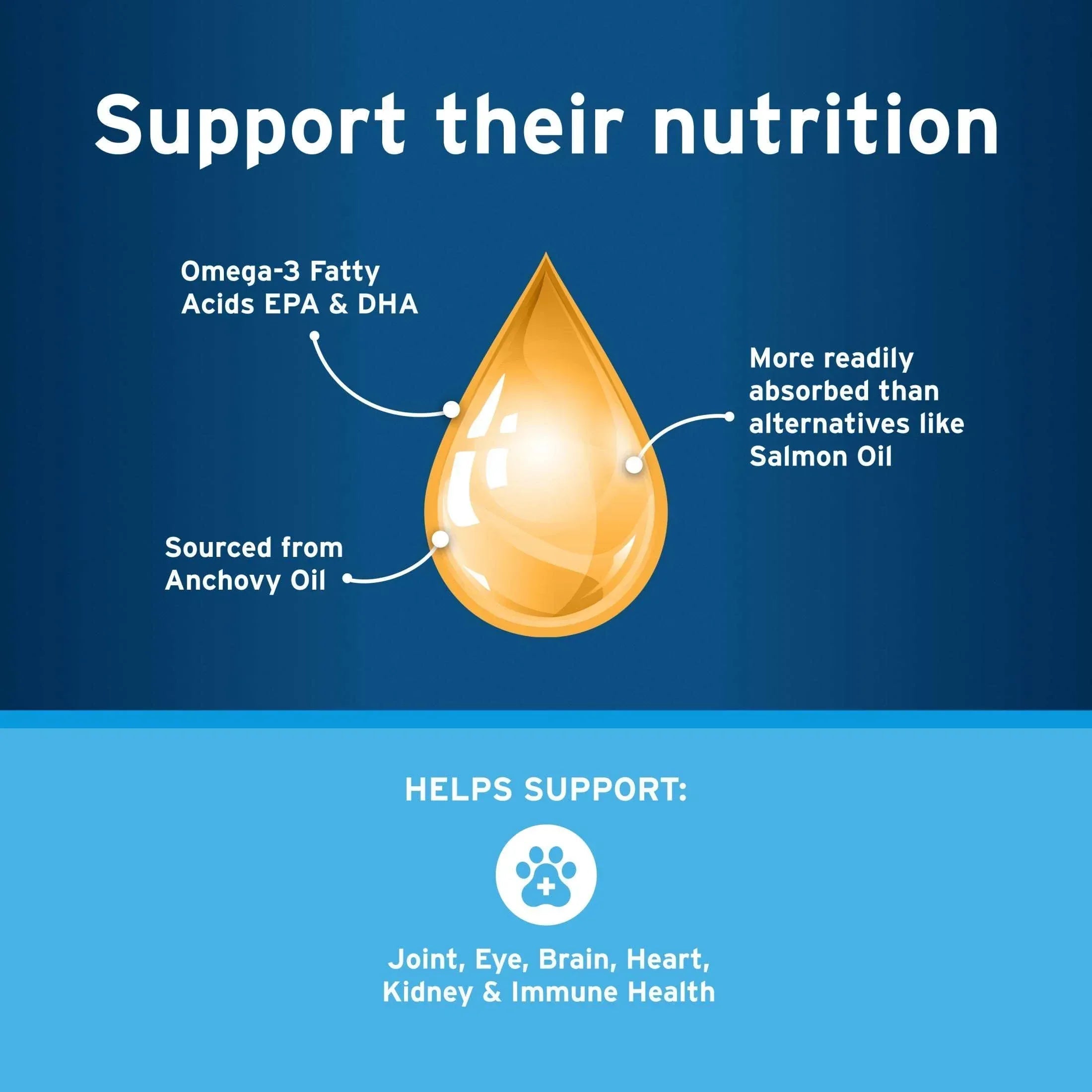 Pet Protect Cat & Small Dog Omega-3 Supplement, Free Form Blend, Liquid Pump, 4-oz.