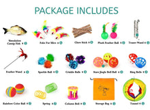 Toy assortment kit including tunnel, catnip mice, feathers, balls, and storage bag