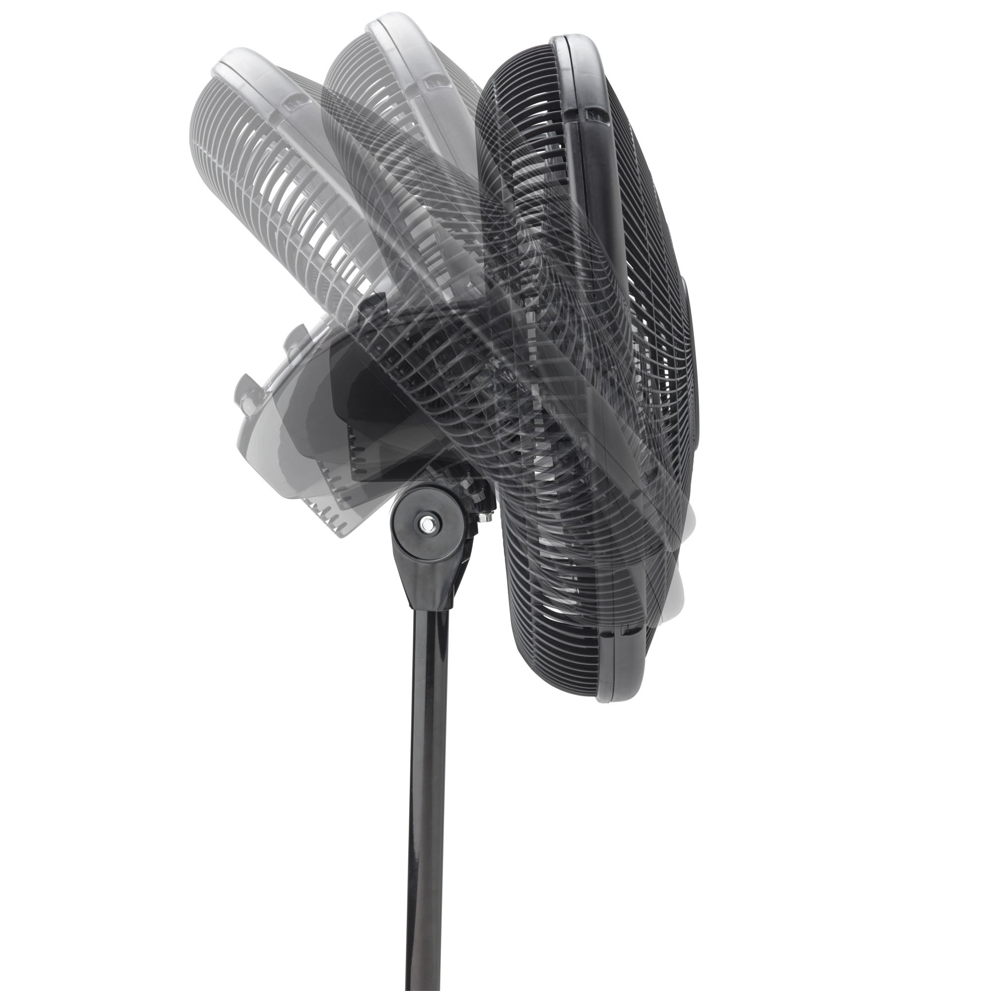 Lasko 16" Oscillating Pedestal Fan with Adjustable Height and Tilt-Back Head for Whole Room Cooling, Black, S16500