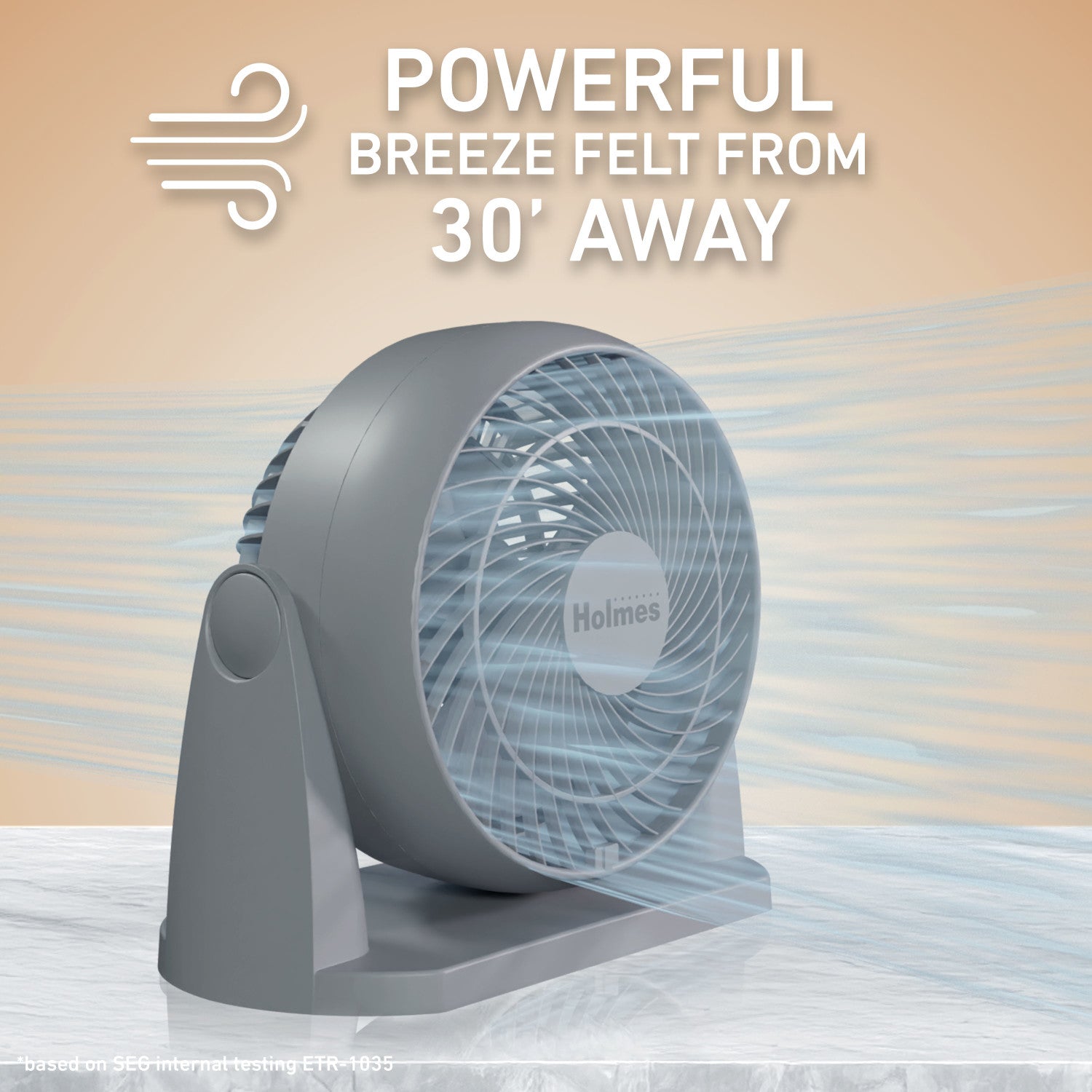 Holmes Blizzard 3-Speed Air Circulator Fan, 90° Adjustable Tilt, Removable Grill, Gray