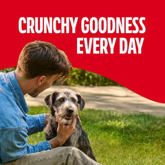 Milk Bone Original Biscuits, Medium Dog Treats