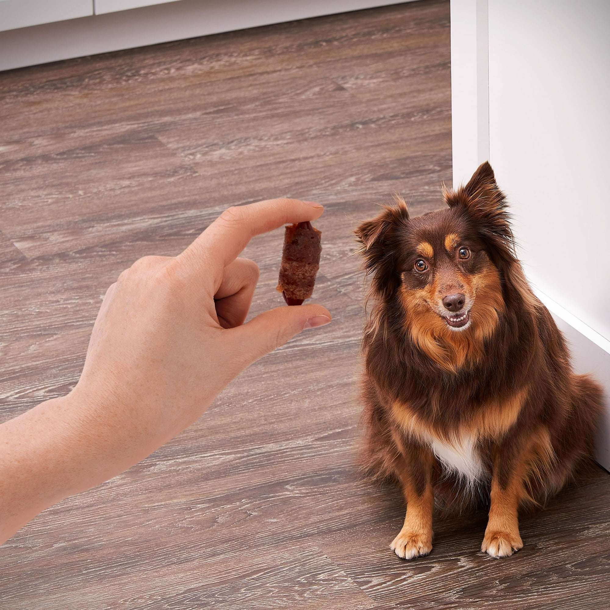 Golden Rewards Air- Dried Jerky Treats Pigs in a Blanket for Dogs, 16 oz