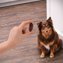 Golden Rewards Air- Dried Jerky Treats Pigs in a Blanket for Dogs, 16 oz