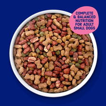 Bowl of savory dry dog kibble pieces