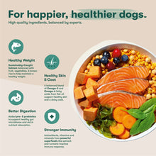 Dog food bowl graphic with salmon slices, vegetables, and kibble
