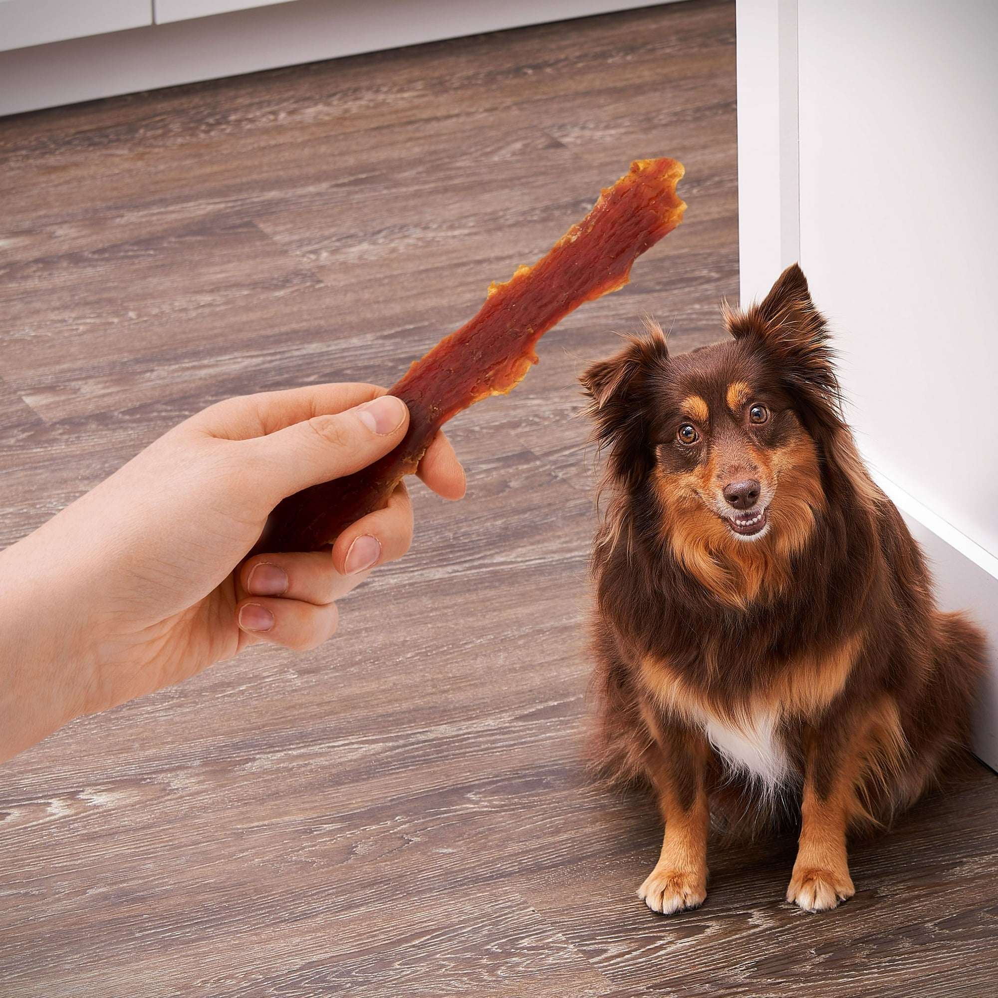 Golden Rewards Duck Jerky Premium Treats for Dogs