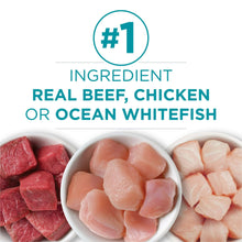 Purina ONE grain-free wet cat food pate ingredient bowls: beef, chicken, ocean whitefish