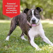 Brindle-and-white dog on grass with red nutrition badge reading Essential vitamins and minerals