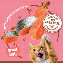 Salmon gravy cat food with no artificial colors badge and salmon chunks