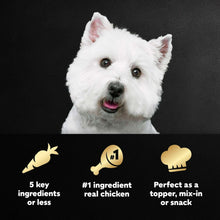 Westie dog with Cesar dog food topper icon infographic