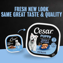 Cesar puppy wet dog food trays, classic loaf in sauce, side-by-side view