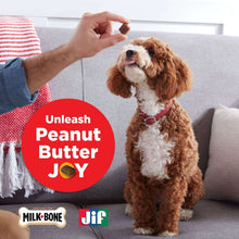 Soft dog treat for dogs with peanut butter and bacon, shown with small dog