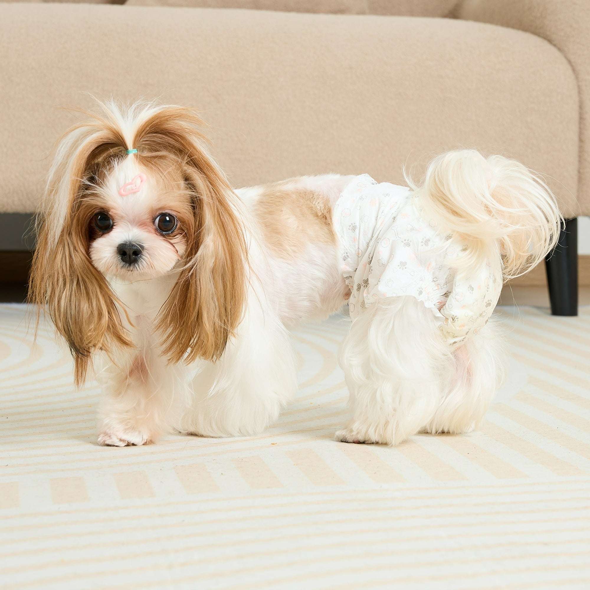 Vibrant Life Disposable Dog Diapers for Female Dogs, S, 12 Count