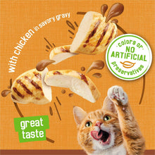 Chicken gravy cat food with no artificial colors or preservatives badge
