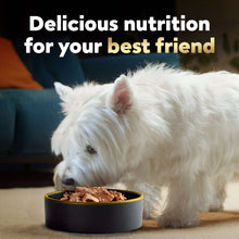 Wet dog food in black bowl, dog eating visible meat pieces