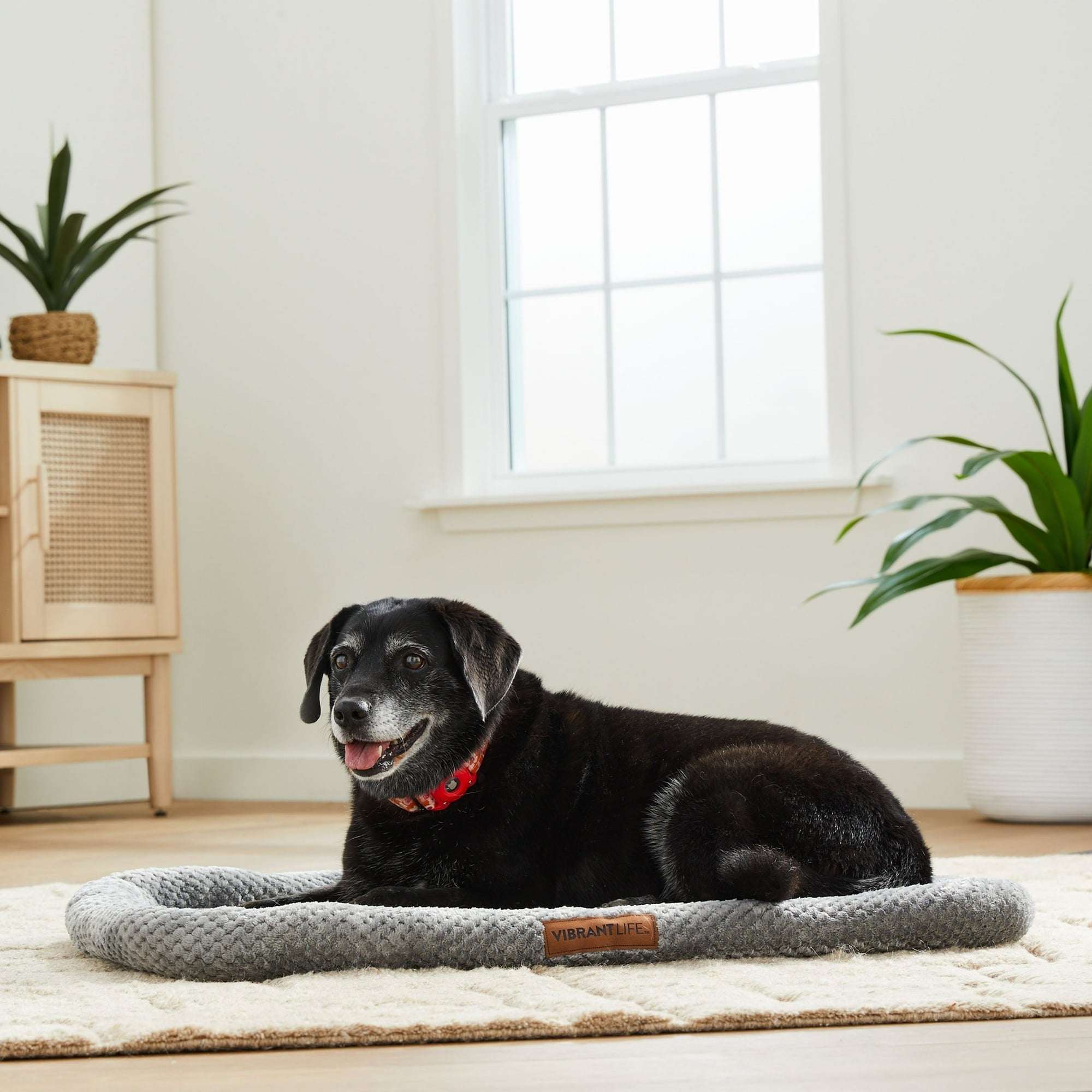 Vibrant Life Cozy Luxe Crate Mat Pet Bed, Gray