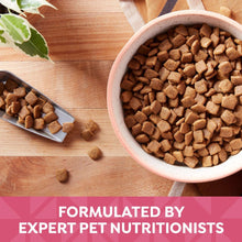 Dry dog food kibble in pink bowl with metal scoop