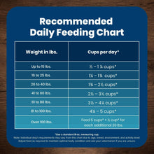 Recommended daily feeding chart table with cups per day