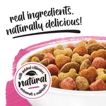 Dry dog food kibble in tray with natural ingredients badge