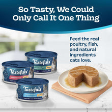 Wet cat food pâté cans with real poultry and fish ingredients graphic.