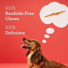 Rawhide-free dog chews graphic with orange chew stick