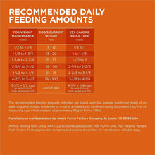 Purina ONE Plus dog food bag back panel with recommended daily feeding amounts chart