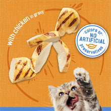 Wet cat food can with chicken in gravy, no artificial colors or preservatives badge.